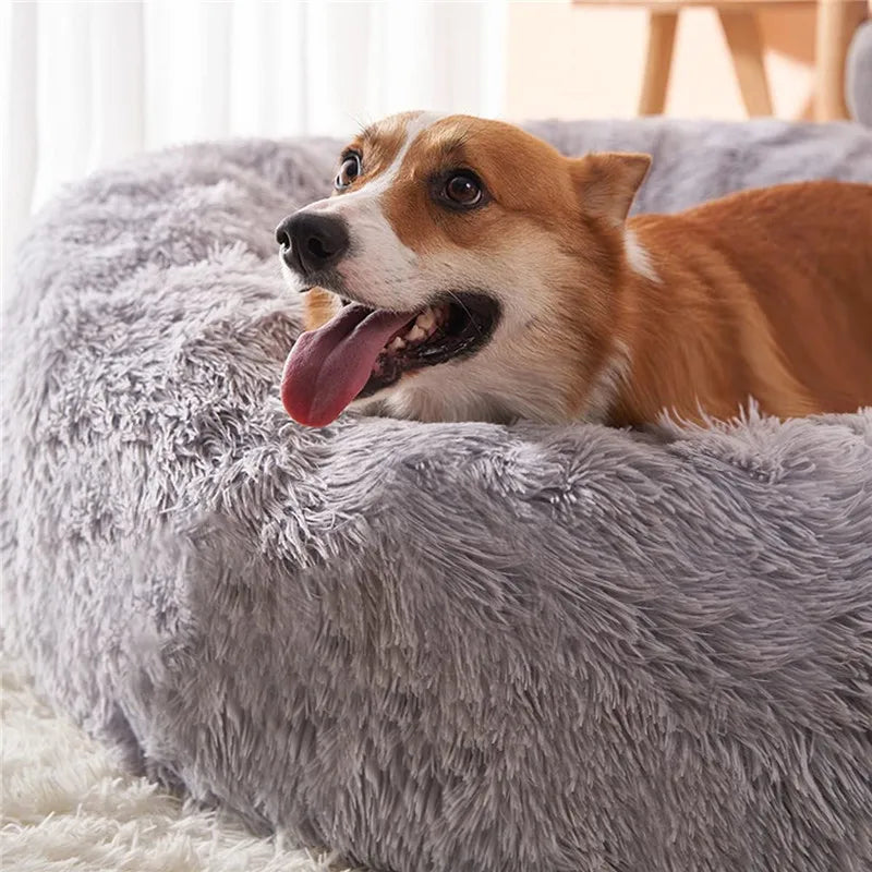 SnuggleSafe Plush Pet Bed